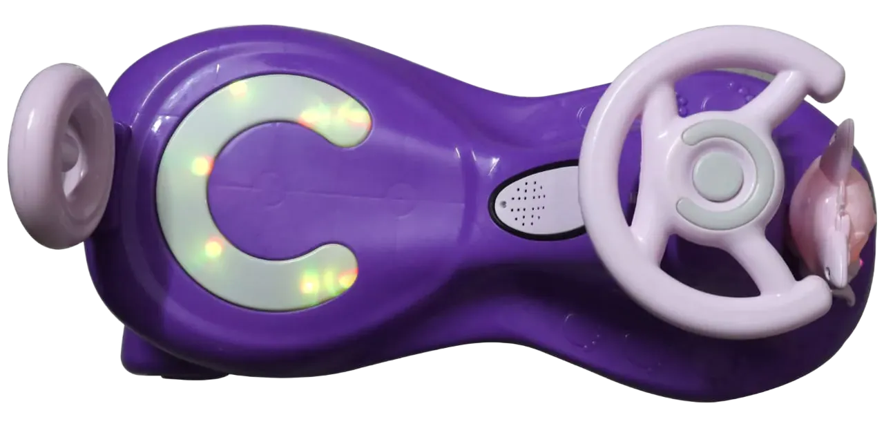 Model F006 - Funfizz Toys swing car in Purple